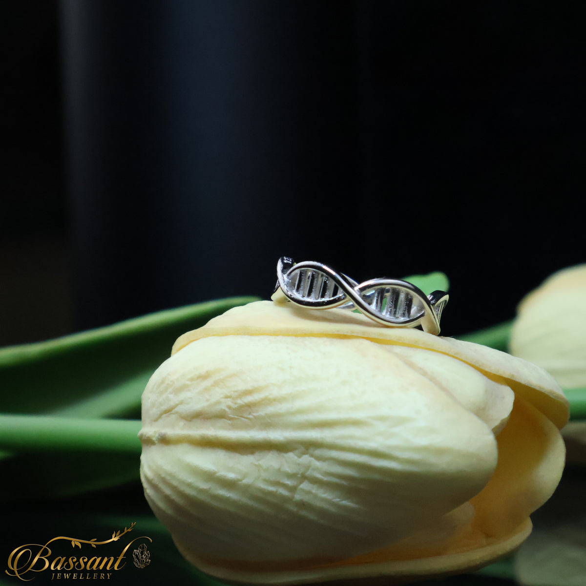 خاتم فضة عيار ٩٢٥ DNA | DNA Sterling Silver 925 Ring | Bassant Jewellery